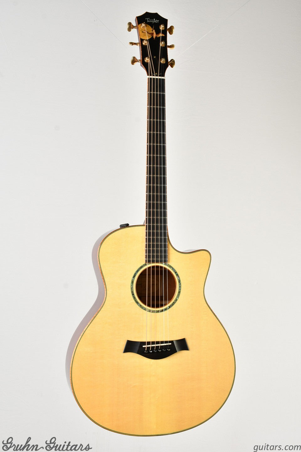 Taylor Custom GS 2009 AT8184