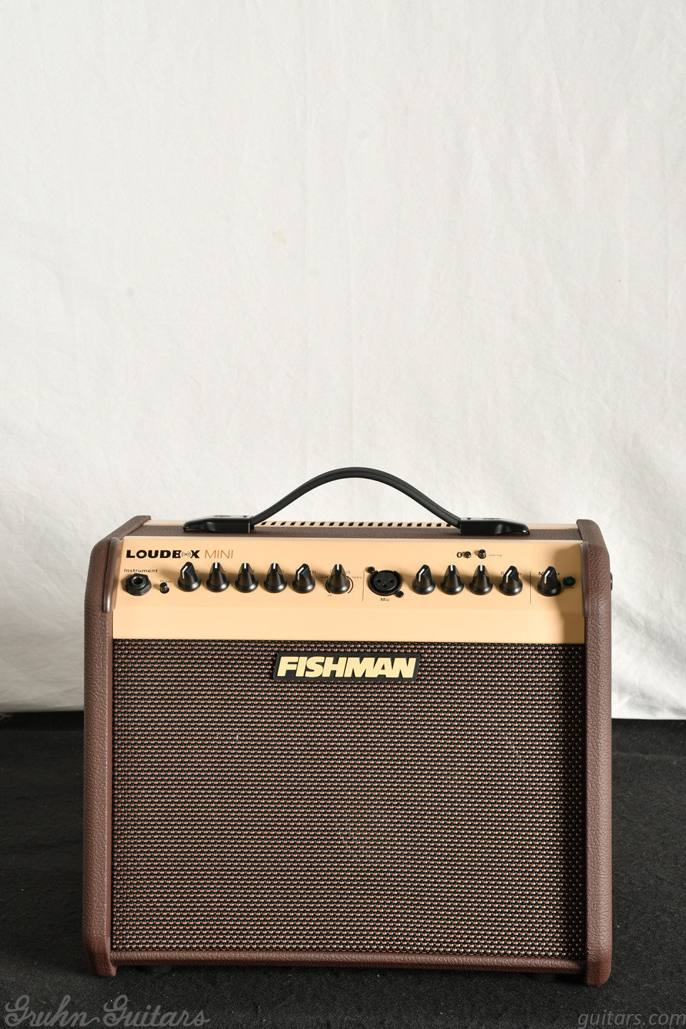 Fishman Loudbox Mini Bluetooth PRO-LBT-500 New PA3397