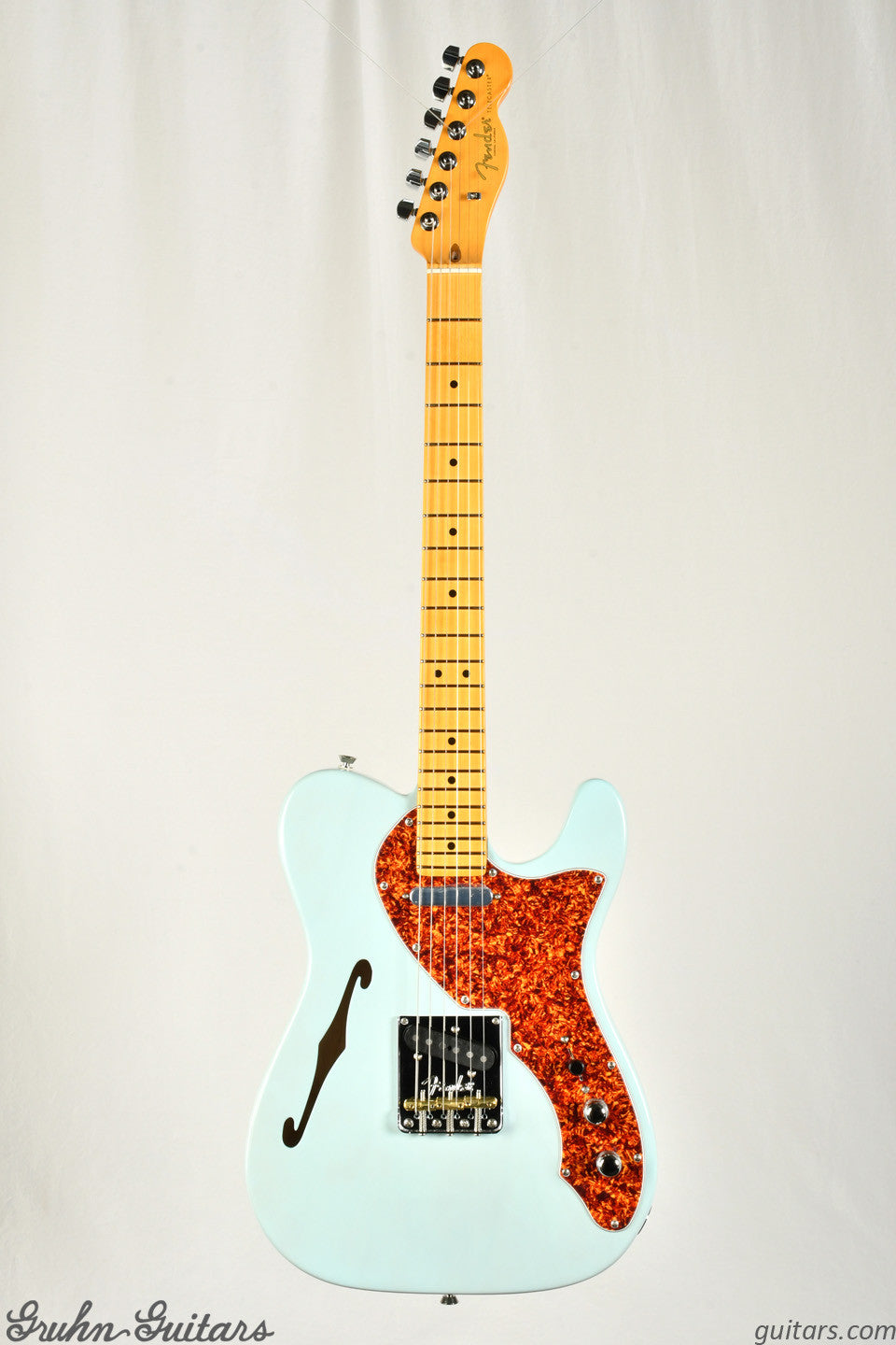 Fender American Professional II Thinline Telecaster Limited Edition New EF10594