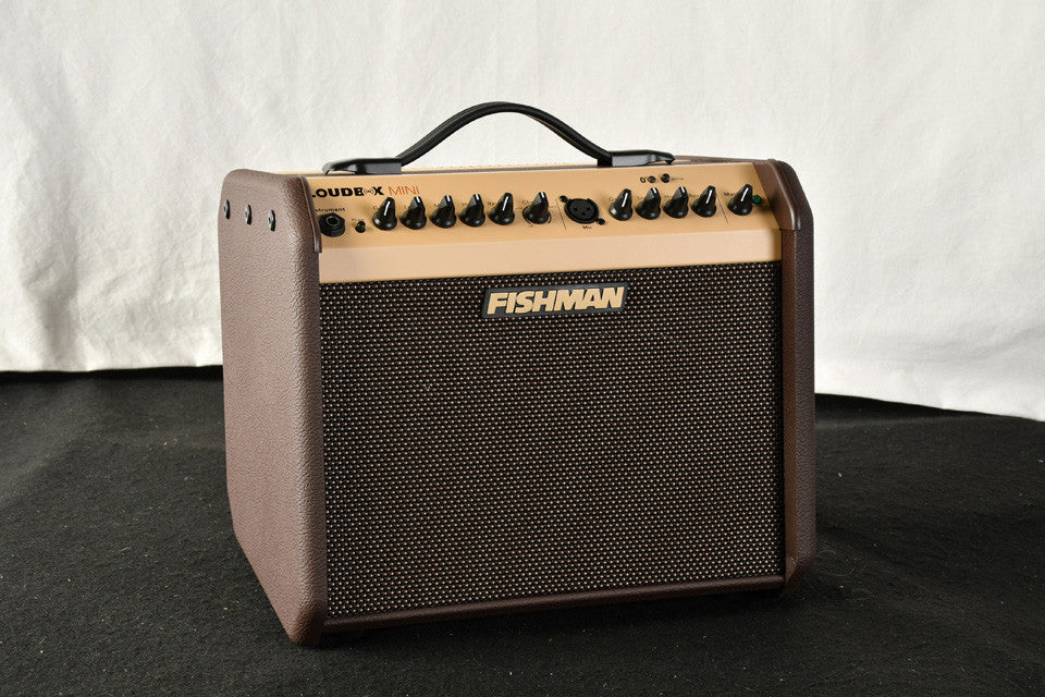 Fishman Loudbox Mini Bluetooth PRO-LBT-500 New PA3484