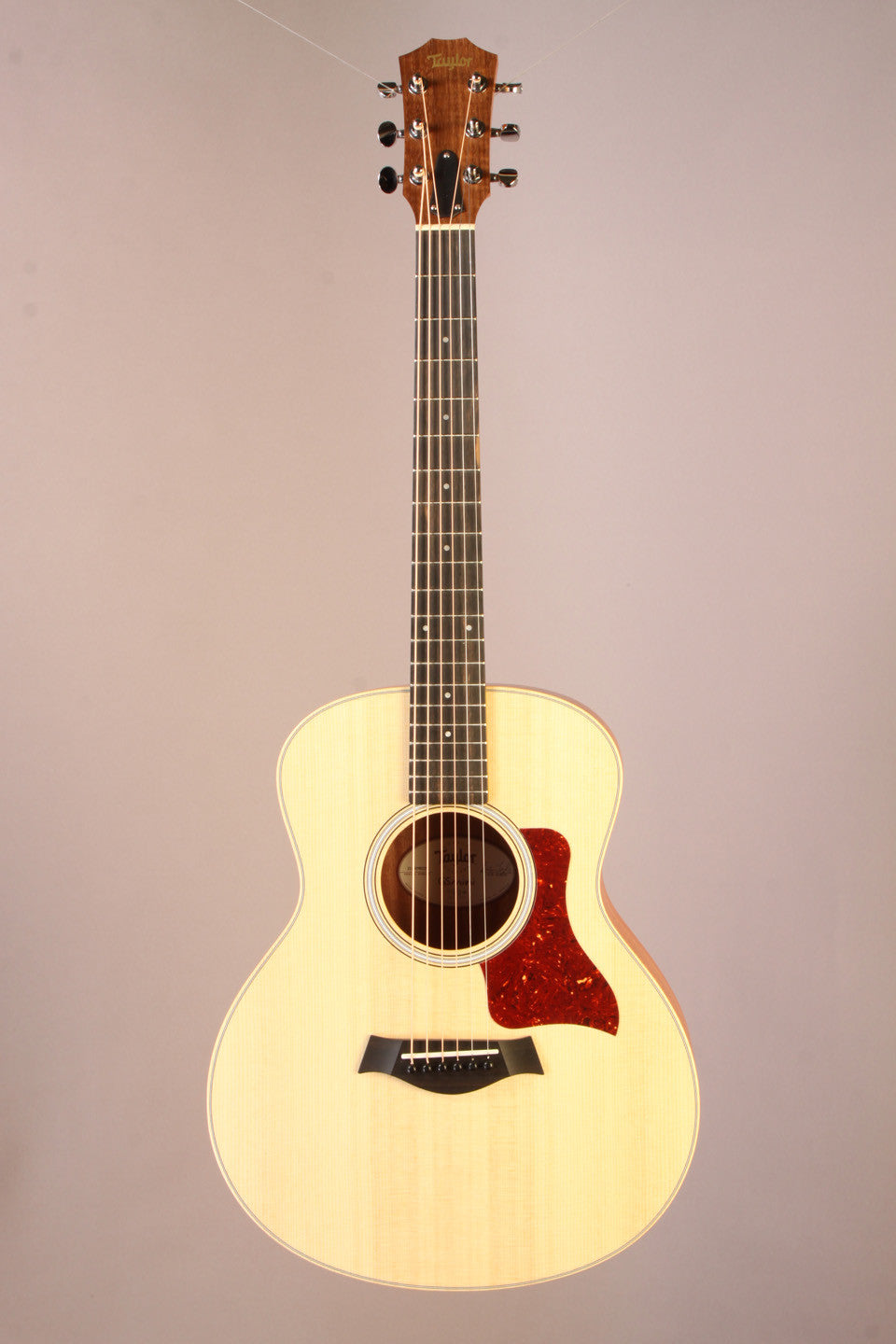 Taylor GS Mini new AT6408